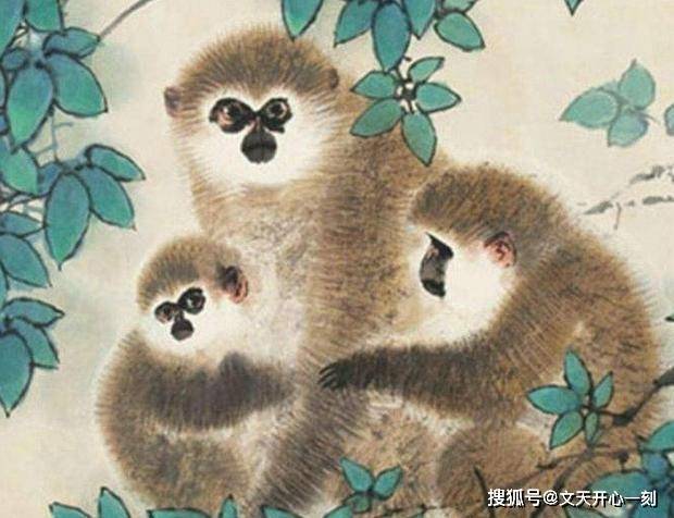 刻意強求，身心受罪 緣來終有日縁去打一个生肖请全面释义、解释与落实、深度解答解释落实